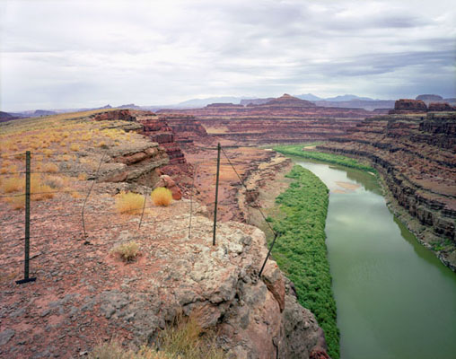 A green river flowing through a desert landscape creating a juxtaposition of lush nature and barren land.