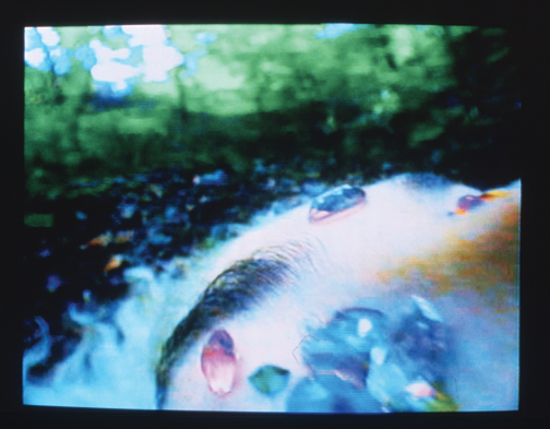 Video still showing a close-up of a face in a forest.