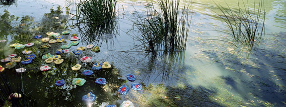 Close-up photograph of a pond. Flowers made out of crochet are swimming in the pond.