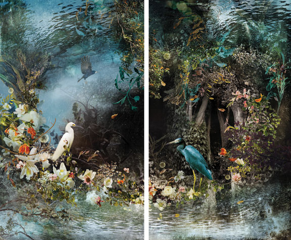 Two photographs of an exotic forest next to each other. Two birds are sitting in each photograph, looking towards each other.