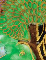 Close-up of a ceramic with a painted tree outlined in gold.