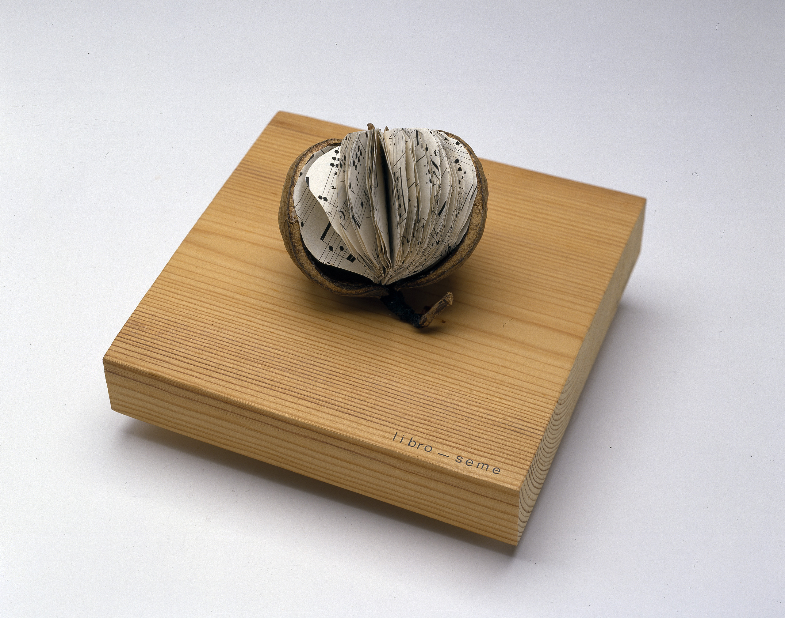 A brown, tropical fruit with a large segment of skin removed to reveal small, round pages of sheet music inside instead of fruit flesh. The book rests on a square woodblock with “libra—seme” printed in the bottom-right corner.