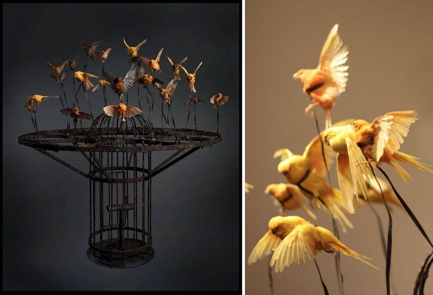 Left: Polly Morgan, Systemic Inflammation, 2010; Taxidermy and steel, 51 1/8 x 44 1/2 x 44 1/2 in.; Private Collection, London; Photography by Tessa Angus, Right: Systemic Inflammation (detail), Photograph by Laura Hoffman