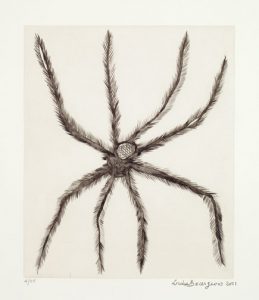 A drawing of a very hairy spider on a piece of paper.