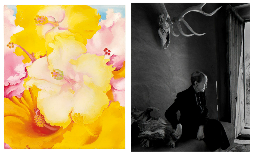 The image on the left is a colorful painting of yellow flowers, the image on the right is a black and white photograph of a woman sitting in a dark room underneath a deer skull with large antlers attached to the wall.