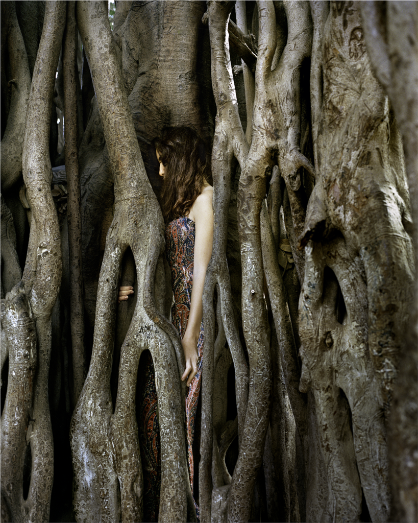 A woman with a light skin tone wearing a dress with ornaments is standing in between a large tree trunk, almost vanishing in the tree.