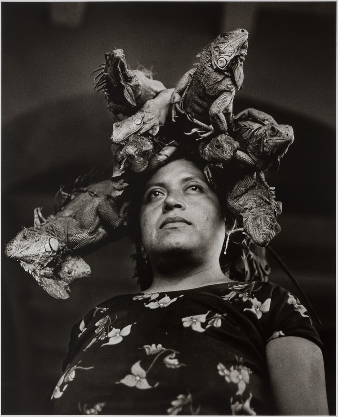 Black and white photograph of a Mexican woman looking off into the distance. She wears a floral blouse and five iguanas sit atop her head at different angles, as if she were wearing a crown.