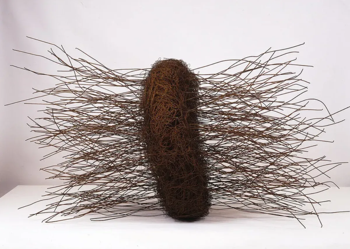 Large, abstract sculpture, fabricated of rusted iron wires, conveys an organic form. At center is a mass of thin, tangled wires shaped into a thick disc, sitting on edge. From either side of the center disc a mass of slightly bent, thicker wires juts straight out.