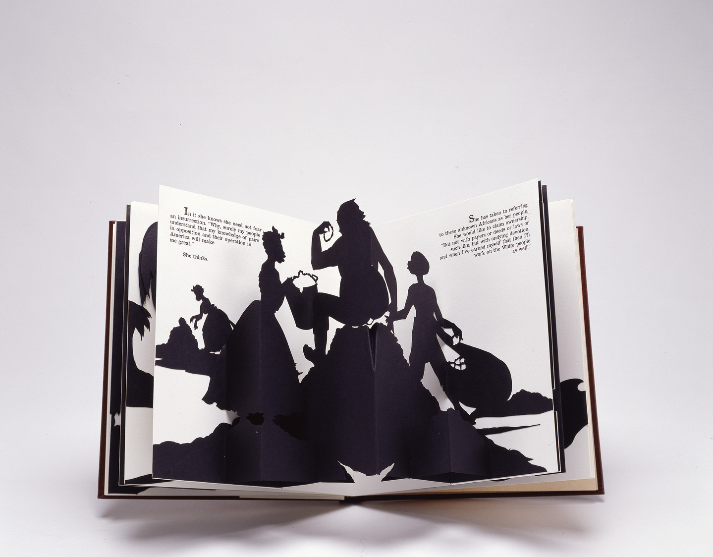 The Book As Art: Artists' Books from the National Museum of Women in the  Arts