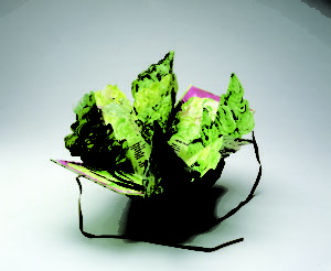 Artist's book resembling a salad in a bowl. Constructed of Tyvek that has been painted in swirling greens and map-folded to look like leaves of lettuce, there is poem written on the inner the leaves.