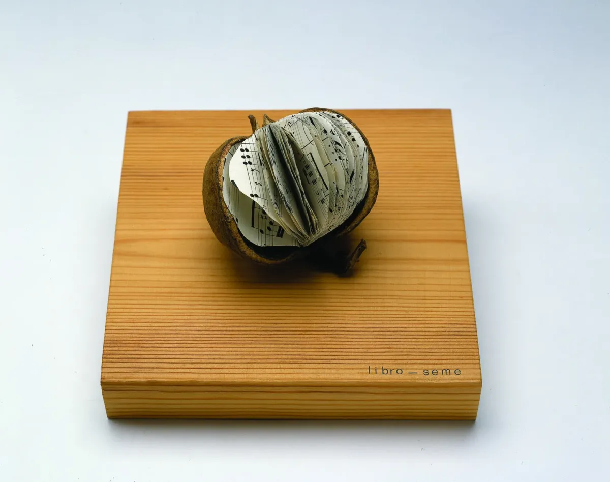 The small seed of a tropical fruit sits on top of a square wooden base that reads Libro-Seme. Inside the seed are cut sheets of music filling the seed like a book.