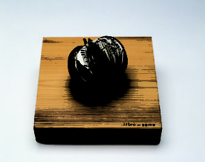 The small seed of a tropical fruit sits on top of a square wooden base that reads Libro-Seme. Inside the seed are cut sheets of music filling the seed like a book.