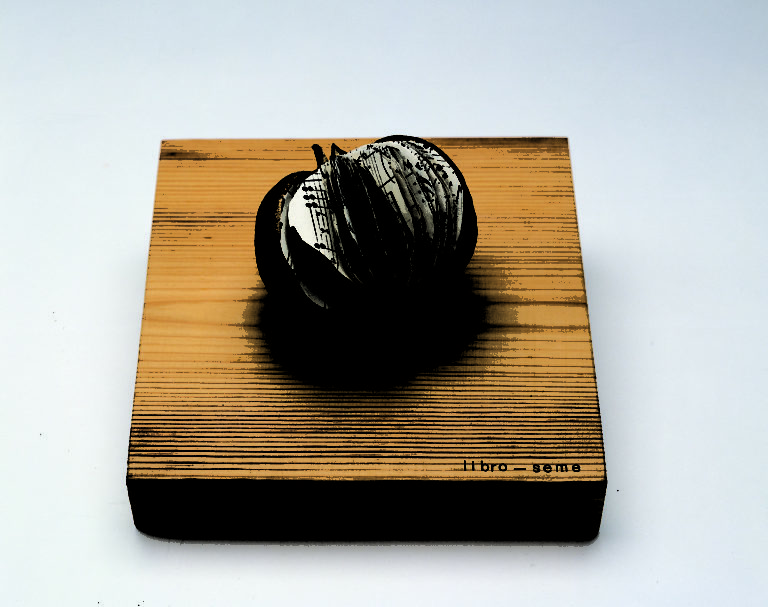 The small seed of a tropical fruit sits on top of a square wooden base that reads Libro-Seme. Inside the seed are cut sheets of music filling the seed like a book.