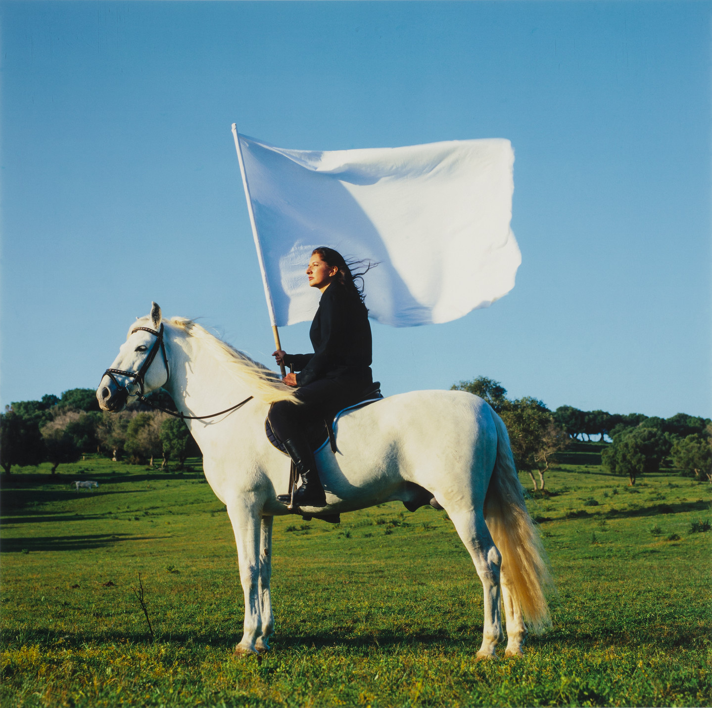 Color photograph of a light skin toned woman in all black on a white horse and carrying a large, white flag. Horse and rider are facing left and are in a rolling green landscape with a bright blue cloudless sky.