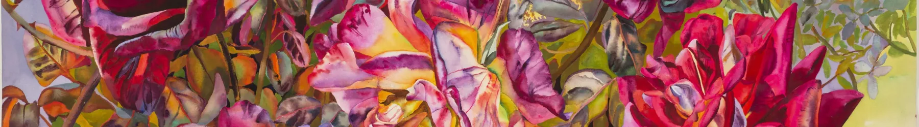 Long and thin horizontal crop of a larger artwork features a closeup detail of watercolor roses in vibrant bloom in shades of hot pink, violet, and yellow with thick leaves surrounding.