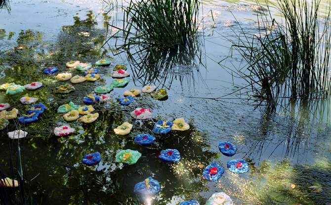 Detail of a large-scale color photograph depicting lilypads floating on a pond. Marsh grass and reflected sky on the water are disrupted by lilypads made from colorful, discarded plastic bags.