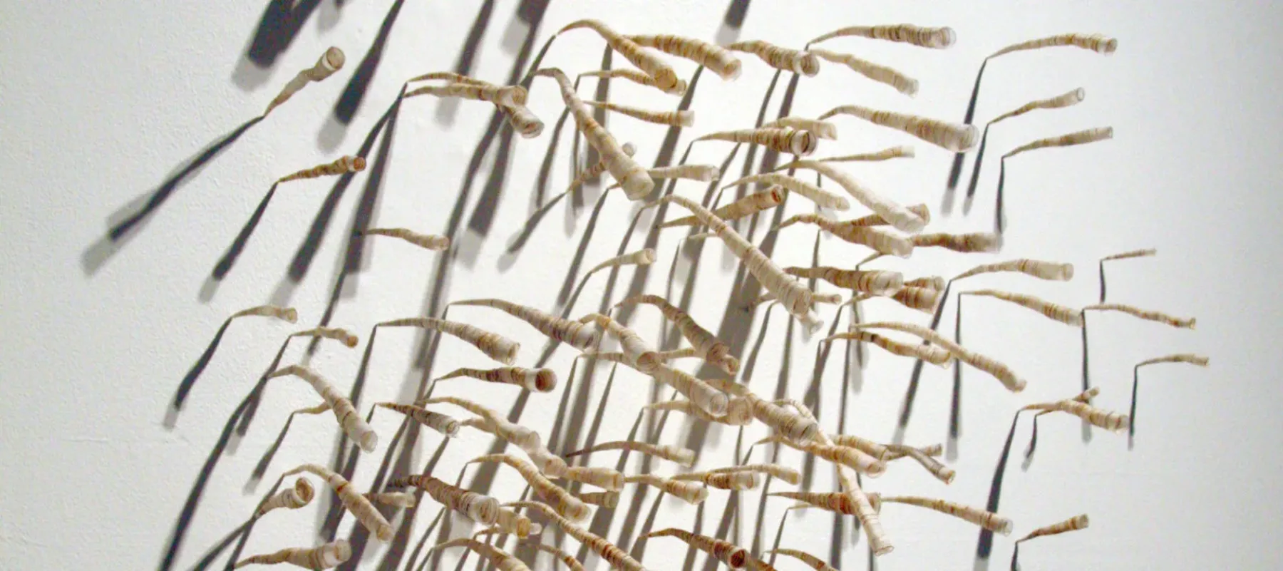 Close up view of an array of cylindrical fiber pieces attached to a wall.