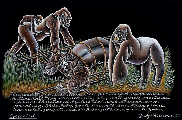 Four gorillas on a black painted background. Two of them are walking on grass, whereas the third gorilla is on its back, tied to a manmade wooden construction.
