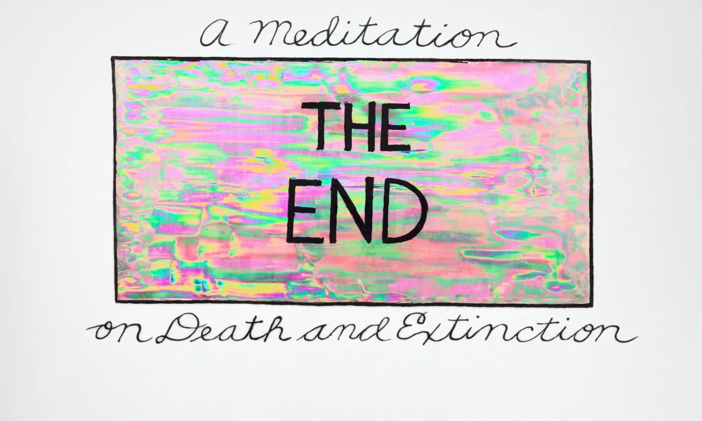 The words 'The End' in bold, uppercase print is shown in an iridescent box of pinks and greens with a solid black border. 'A meditation' sits atop of the box in cursive writing and 'on Death and Extinction' sits below in the same lettering.