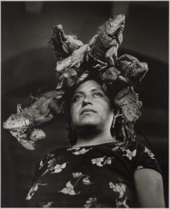 Black and white photograph of a Mexican woman looking off into the distance. She wears a floral blouse and five iguanas sit atop her head at different angles, as if she were wearing a crown.