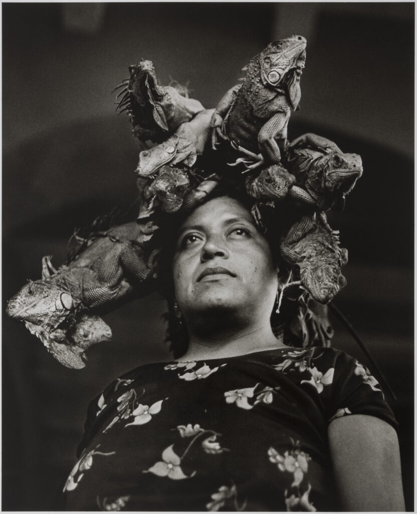 A black and white portrait of a woman gazing into the distance wearing a floral print dress. On her head are a group of large iguanas.