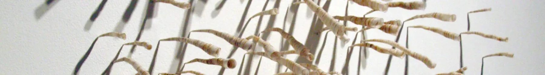 Close up view of an array of cylindrical fiber pieces attached to a wall.