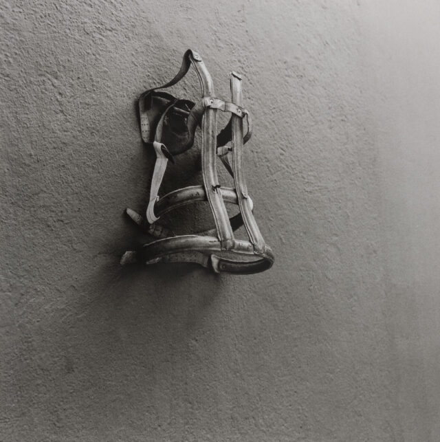 A black and white photograph of a worn body brace pinned on a blank concrete wall. The photograph is taken from slightly below and to the left of the brace. Similar to a corset, the brace itself is simultaneously lonely, foreboding, and empty as it hangs.