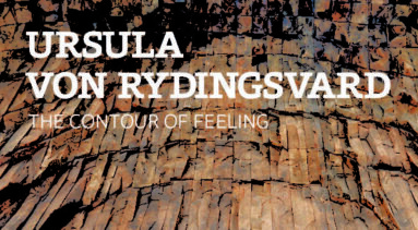 Book cover features a photograph of uneven wood planks running the length of the book with the title: "Ursula Von Rydingsvard: The Contour of Feeling"