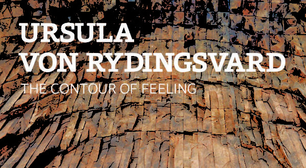 Book cover features a photograph of uneven wood planks running the length of the book with the title: "Ursula Von Rydingsvard: The Contour of Feeling"