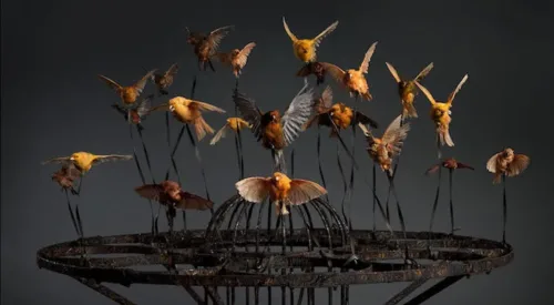 Large, black steel birdcage held aloft by over a dozen orange and yellow songbirds in flight, tethered to the cage by wires.