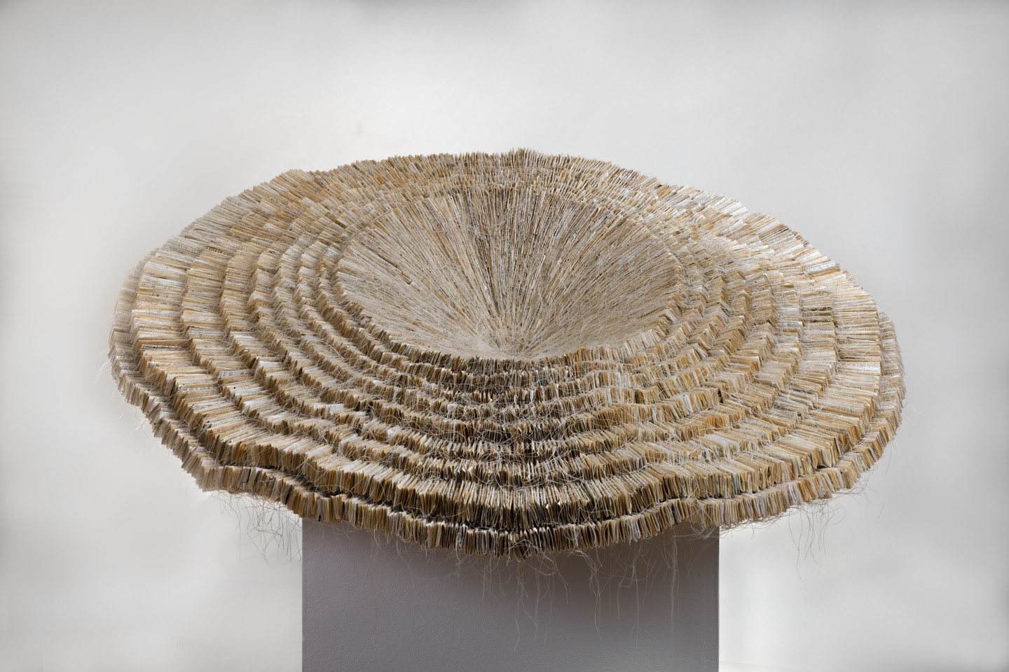 A beige contemporary sculpture with layers of finely cut paper stacked on top of one another getting more expansive with the bottom layers. The flexible edges of the sculpture droop and ￼￼flop.