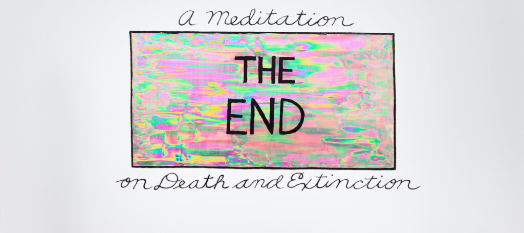 The words 'The End' in bold, uppercase print is shown in an iridescent box of pinks and greens with a solid black border. 'A meditation' sits atop of the box in cursive writing and 'on Death and Extinction' sits below in the same lettering.