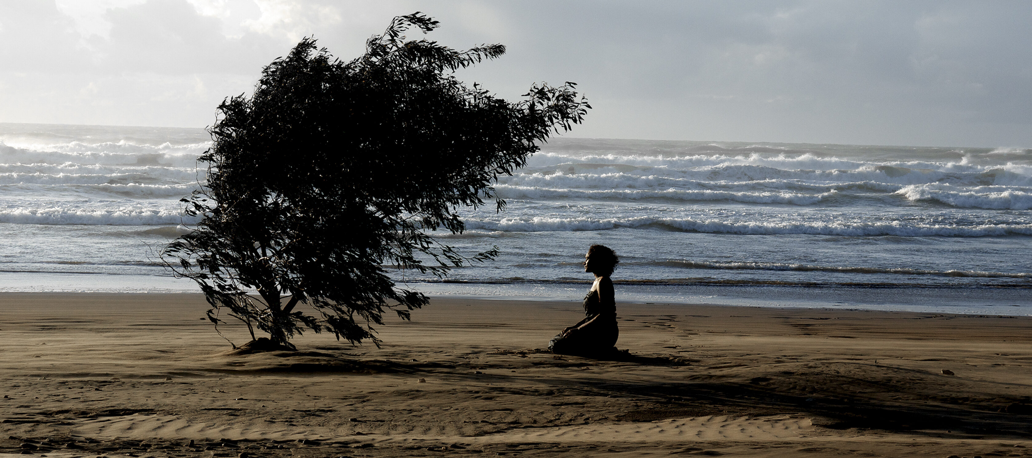 Tall photograph of a beach near sunset. The sky fades into the beach, which fades into darkness for the bottom third of the photograph. The focal point is a single tree in shadow with a figure kneeling below its branches.