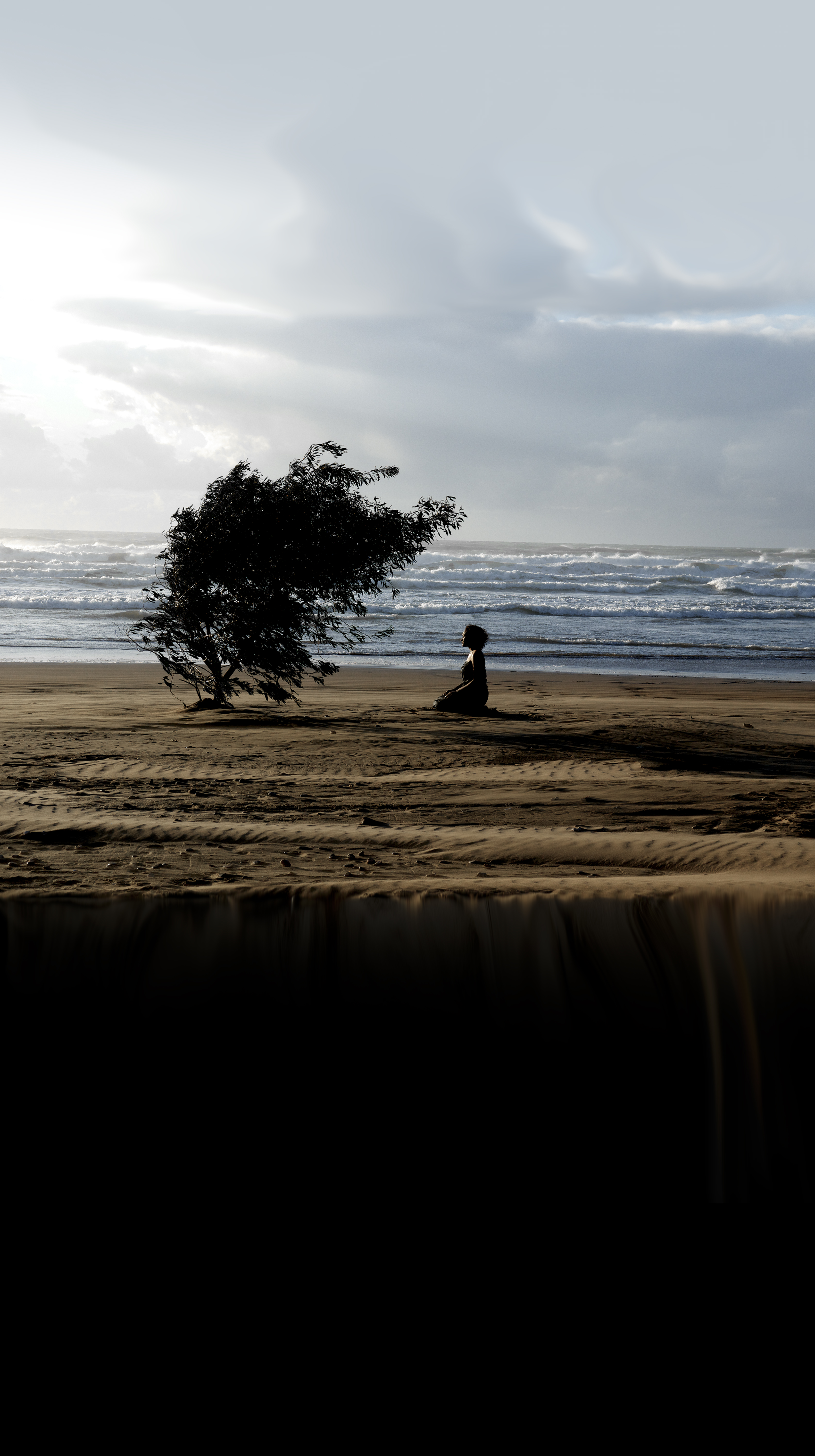 Tall photograph of a beach near sunset. The sky fades into the beach, which fades into darkness for the bottom third of the photograph. The focal point is a single tree in shadow with a figure kneeling below its branches.