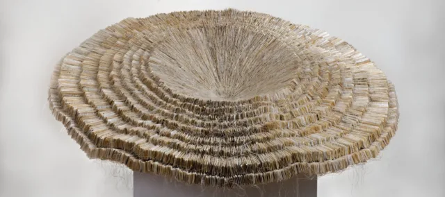 Sculpture made of layers of paper that opens like a forest mushroom.