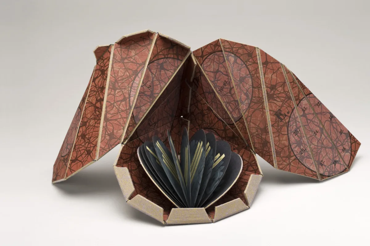 An open artist’s book that is teardrop-shaped with two open flaps that resemble wings. The interior is an earthy red color with veiny brown lines. Inside the open teardrop shape is a tiny circular book with navy half-moon shaped pages.