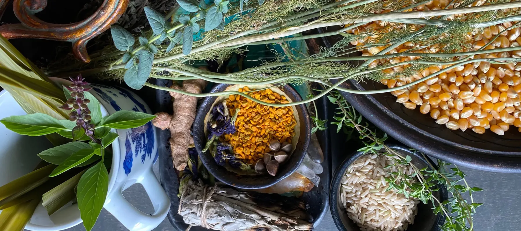 A table set with bowls and containers of fresh and dried herbs and grains. A large black bowl filled with dried corn sits to the right of the image, with a smaller black bowl of dried rice below.