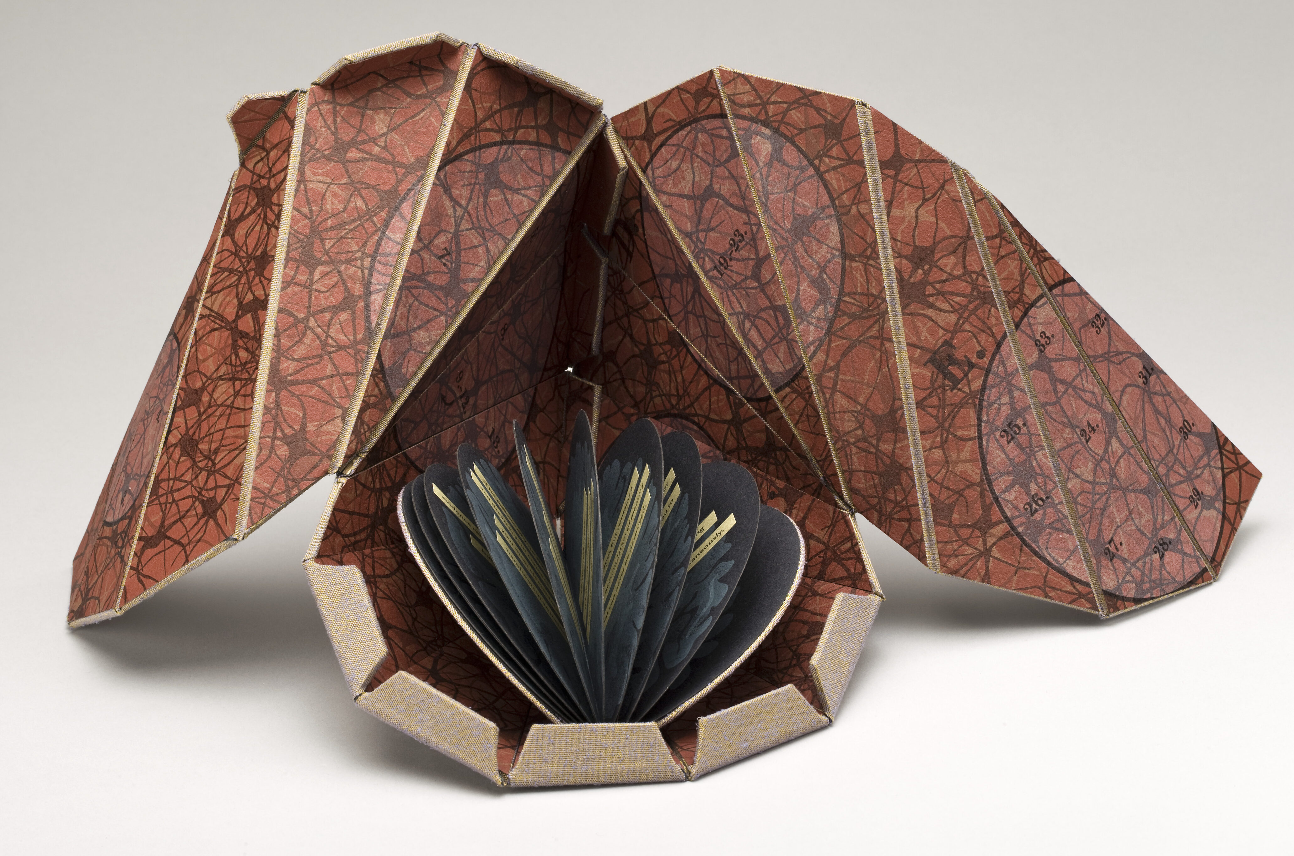 An open artist’s book that is teardrop-shaped with two open flaps that resemble wings. The interior is an earthy red color with veiny brown lines. Inside the open teardrop shape is a tiny circular book with navy half-moon shaped pages.