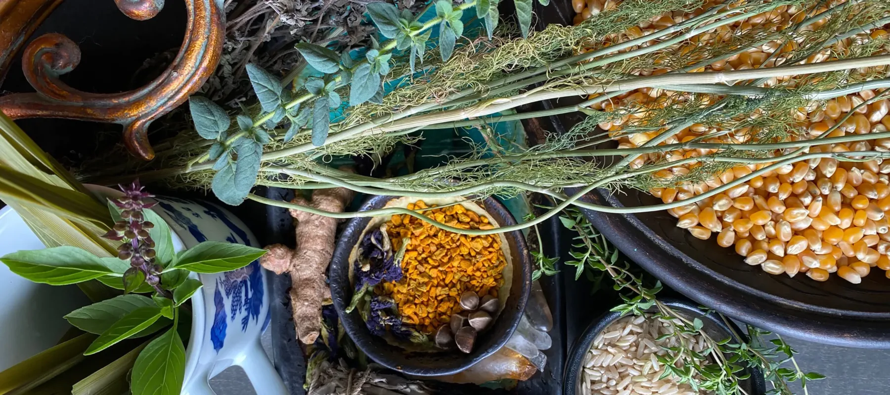 A table set with bowls and containers of fresh and dried herbs and grains. A large black bowl filled with dried corn sits to the right of the image, with a smaller black bowl of dried rice below.