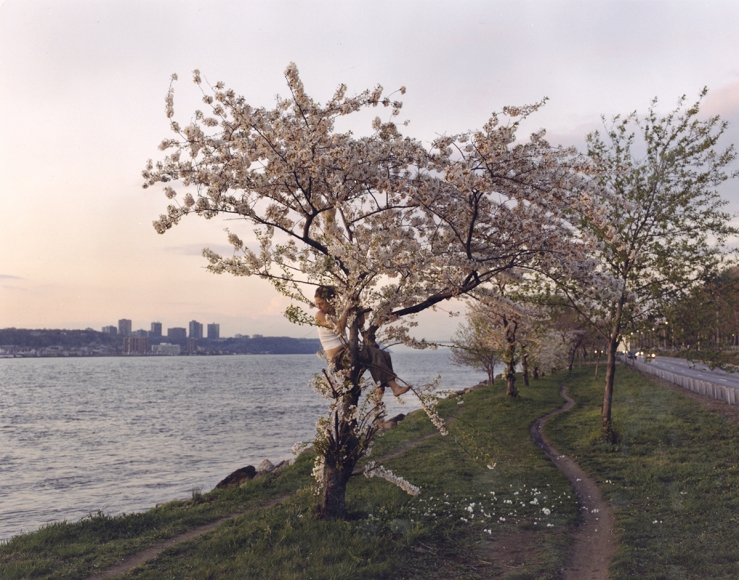 A light-skinned young woman sits in the fork of a cherry blossom tree, her head turned toward the water on the left. To her right, pink trees stand in a row, and to her left is the shore of a large body of water before a small skyline of six buildings.