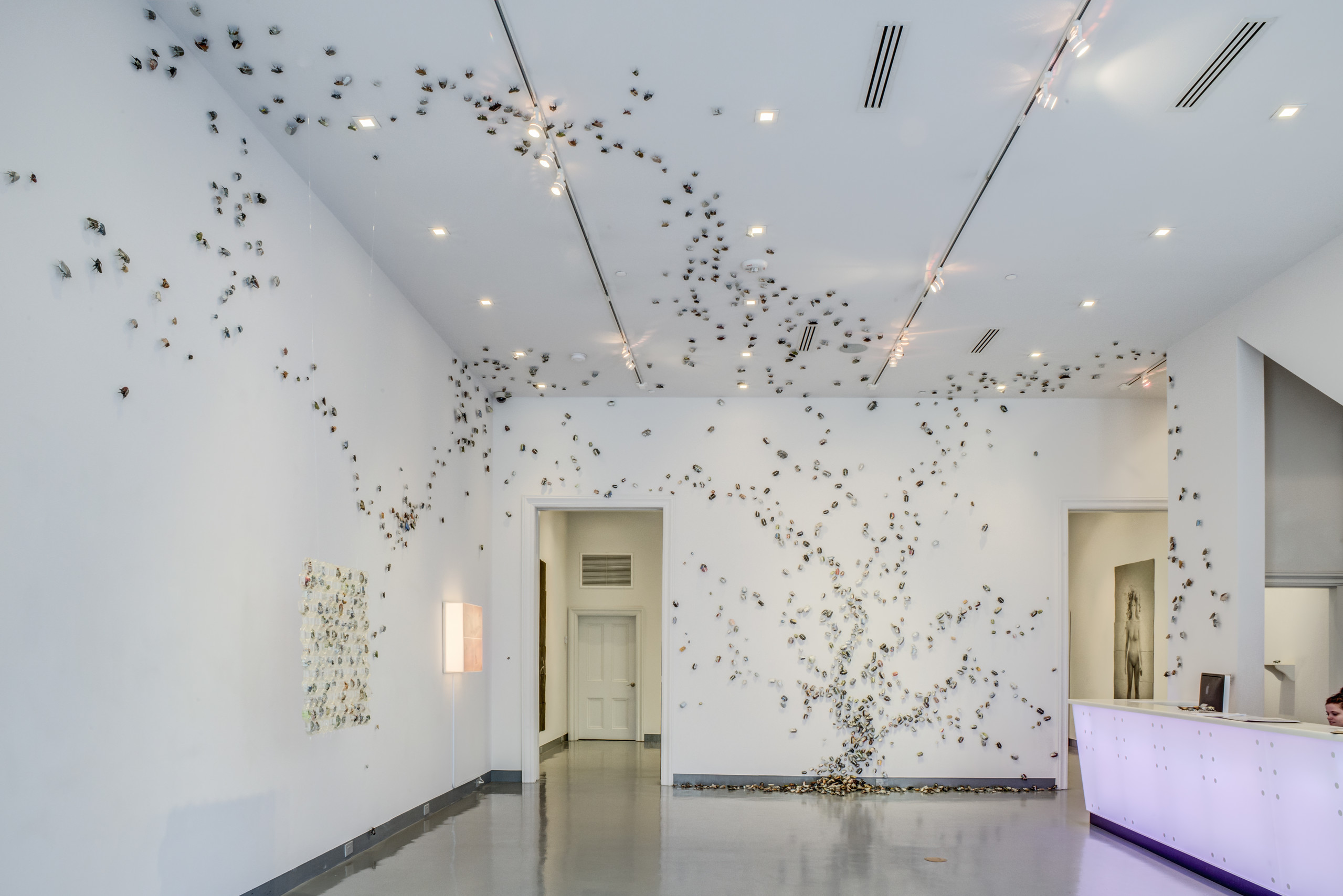 Installation view of thousands of small insects swarming out on the walls, ceiling, and onto the floor of a building lobby.