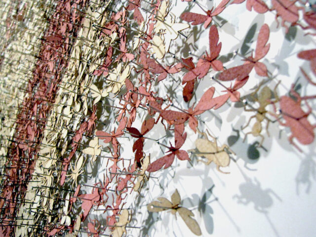 Detail view of contemporary installation with miniscule pink and yellow cut paper shaped like butterflies, ants, and other insects adhered to their white background with thousands of pins.
