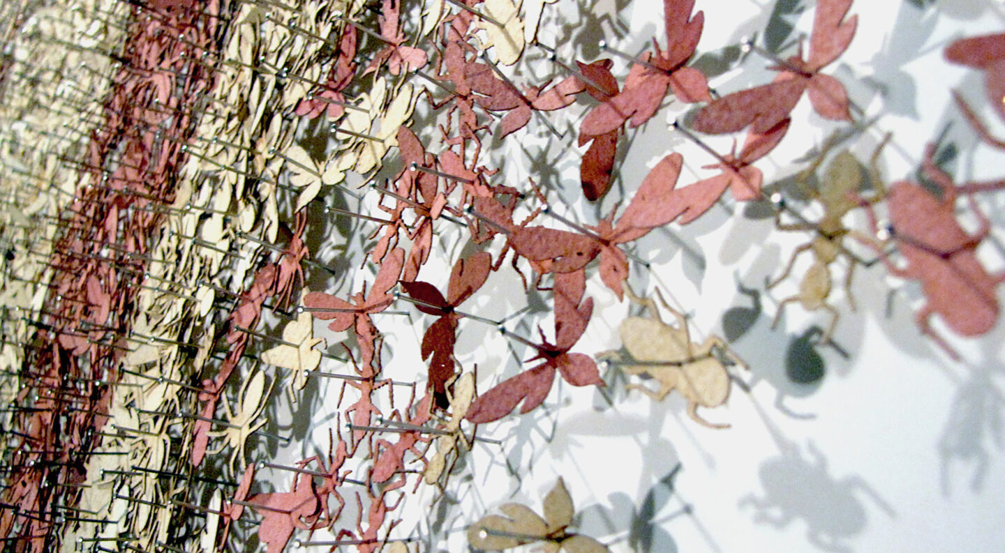 Detail view of contemporary installation with miniscule pink and yellow cut paper shaped like butterflies, ants, and other insects adhered to their white background with thousands of pins.