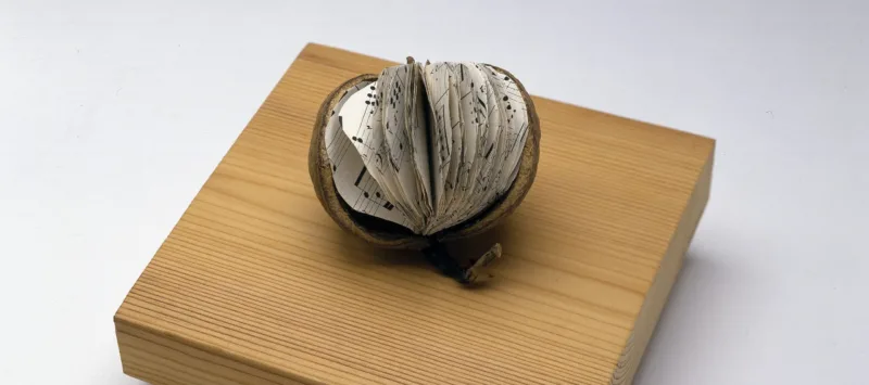 A brown, tropical fruit with a large segment of skin removed to reveal small, round pages of sheet music inside instead of fruit flesh. The book rests on a square woodblock with “libra—seme” printed in the bottom-right corner.