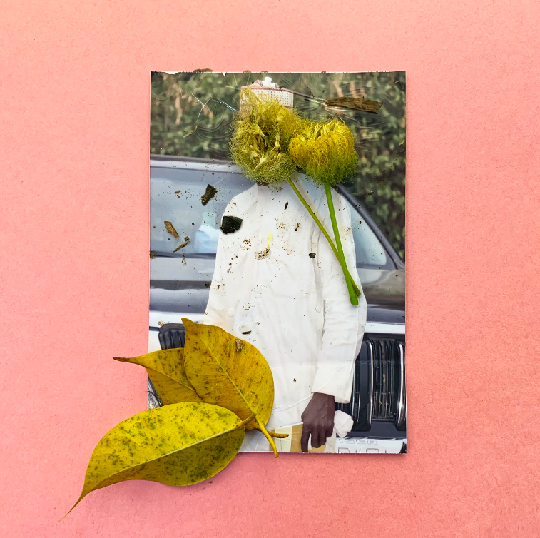 On a light pink background, a photograph of a man wearing all white is partly obscured by three yellowed leaves in the far left corner and two dried poppy flowers on top of the man's face.