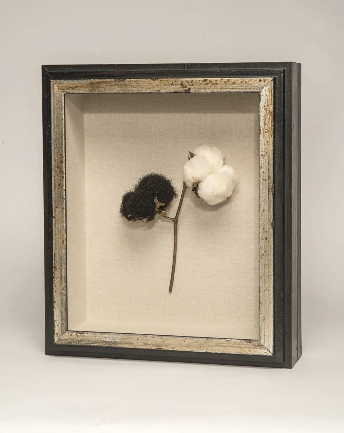 A black framed sculpture of a branch of a cotton plant against a white background. The stem of the plant is bronze, and splits to lead to two bolls at its top. The right boll is made of cotton, while the left boll is made of black, curly hair.