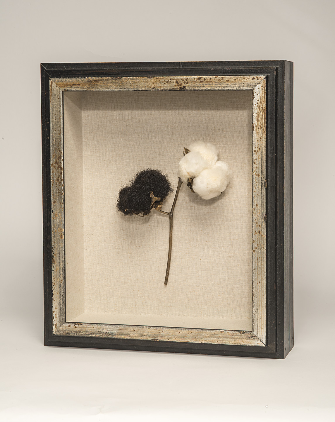 A black framed sculpture of a branch of a cotton plant against a white background. The stem of the plant is bronze, and splits to lead to two bolls at its top. The right boll is made of cotton, while the left boll is made of black, curly hair.