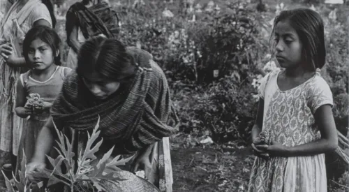 A black and white photograph of women and children preparing a grave in the dirt outdoors. An adolescent girl stands to the side observing. She wears a light colored, patterned dress, and her dark hair is pulled back into a low ponytail. To her right, a woman with dark hair and a dark shawl leans down over a plant. Five other figures stand near her.