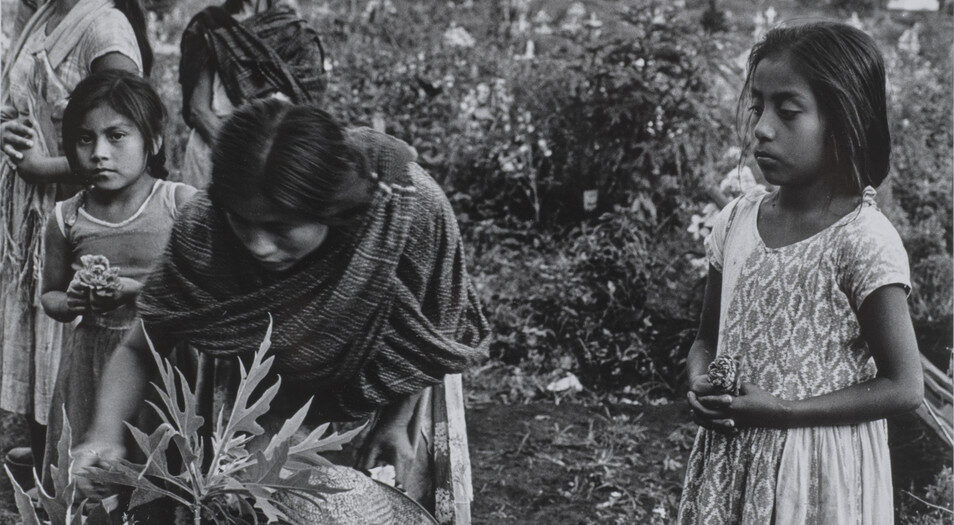 mother teresa mary ellen mark