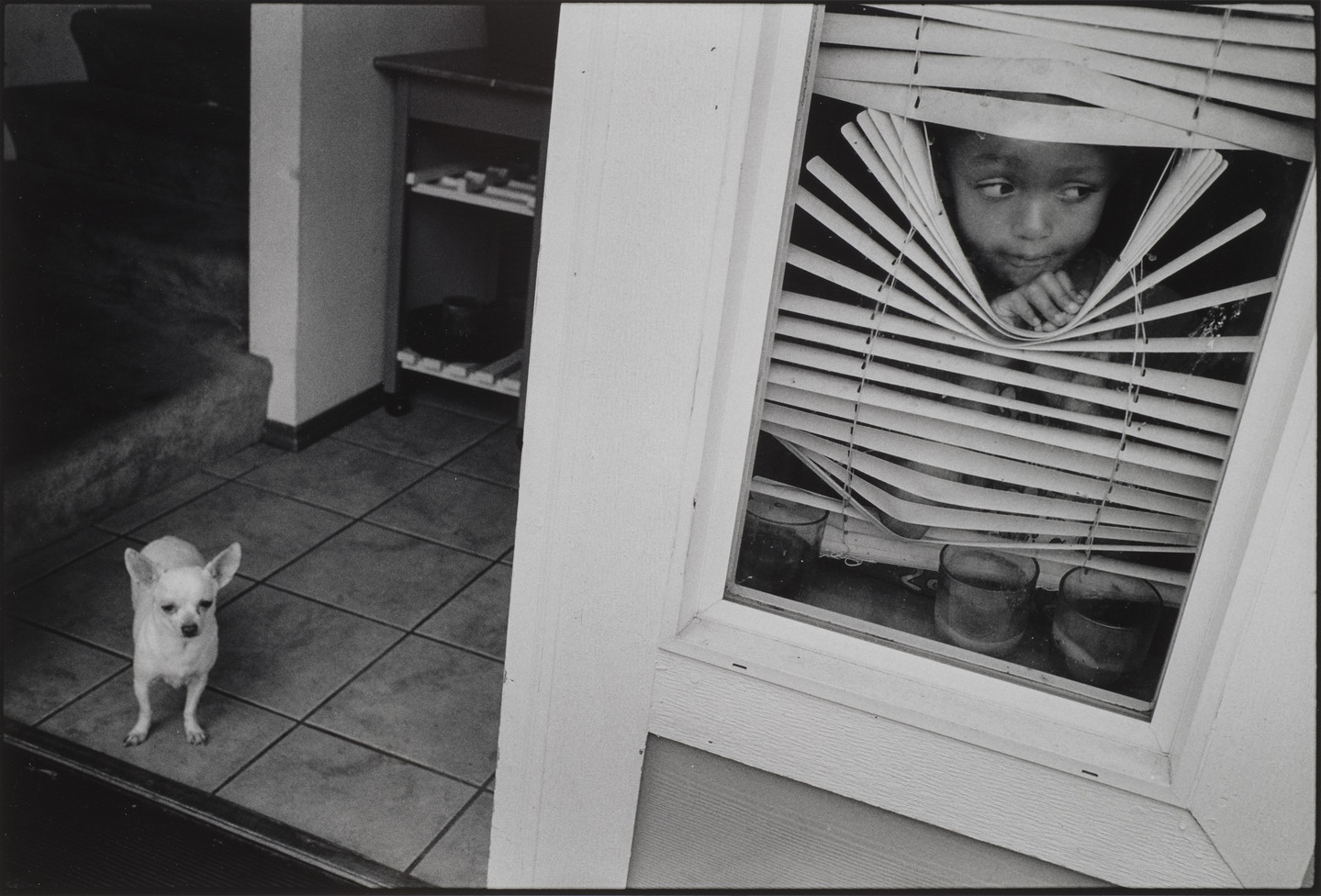 A black and white photograph of a young girl peering through slatted blinds to look out a window. Her gaze goes to the right of the frame. To her left, and on the other side of the window, a small white dog stands on a tiled floor.